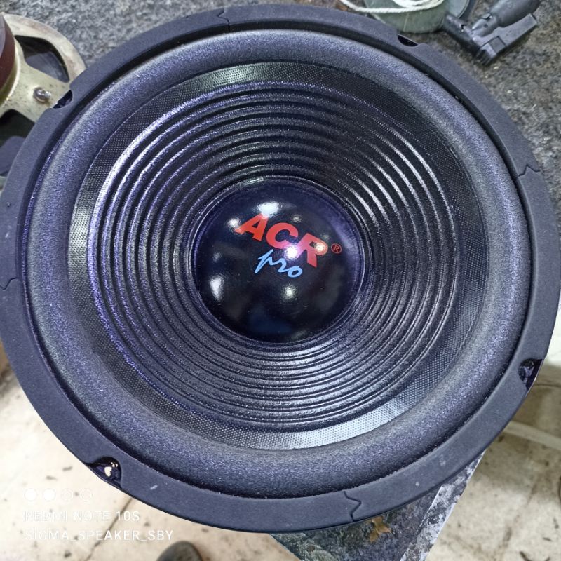 Speaker ACR 10in Pro 25H100 Wofer 400 Watt
