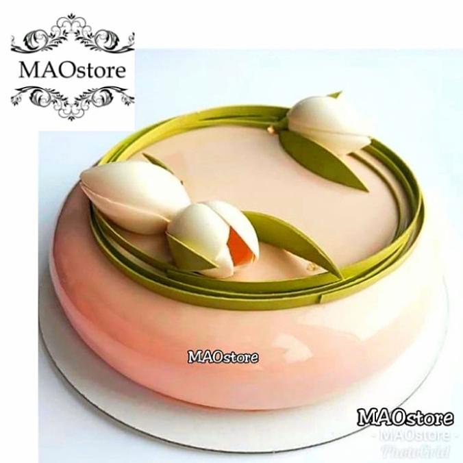 

MAOSTORE CETAKAN ENTREMET CAKE CETAKAN ECLIPSE MIRROR CAKE MOUSSE CAKE