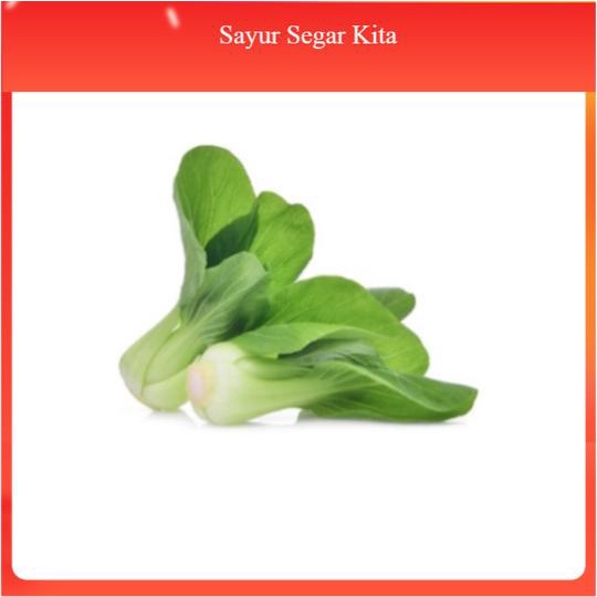 

Sawi Pakcoy Hidroponik 250 gr