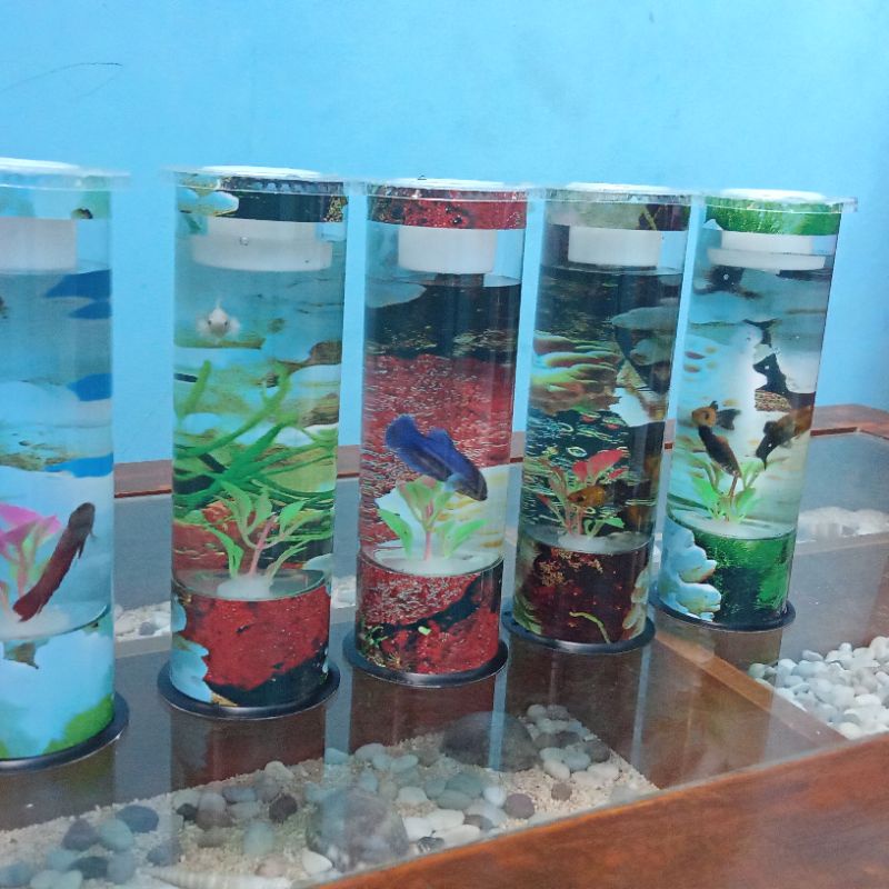 AQUARIUM MINI IKAN CUPANG MINI TABUNG FULL HIASAN DAN LAMPU / AKUARIUM MINI CUPANG BULAT GUPPY