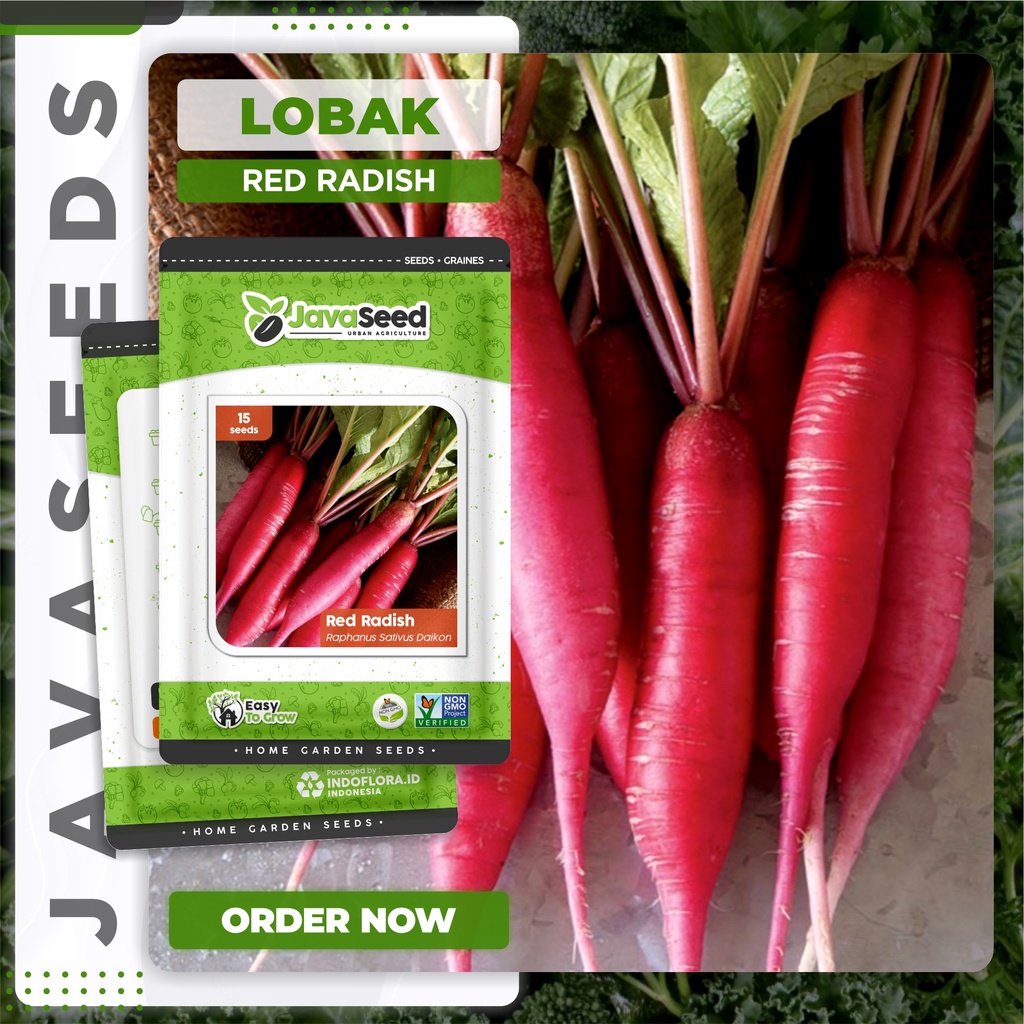 Jual Benih Lobak Merah Red Long Radish 15 Benih Indonesia Shopee Indonesia