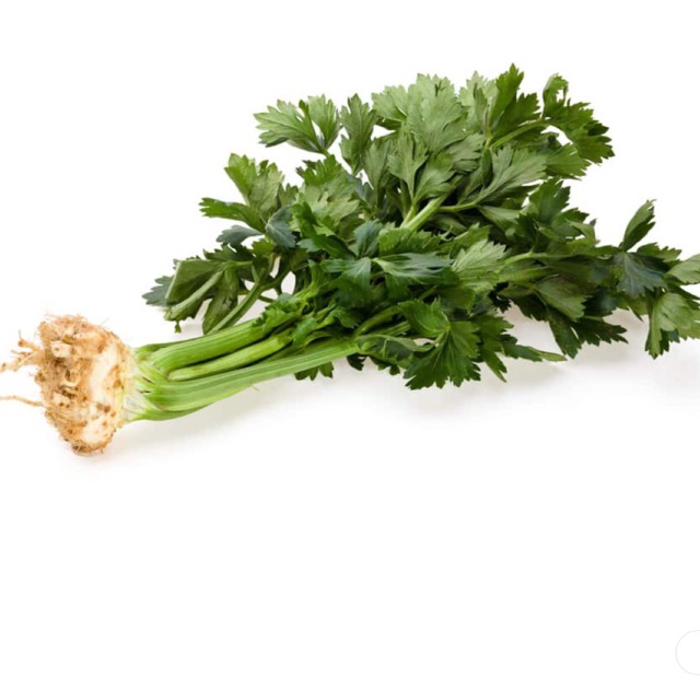 

Daun Seledri
