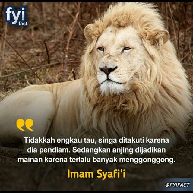 Casing Hard Case Oppo A3s A5s F11 Pro F11 F9 F7 F1s F7 F1s V11 V15