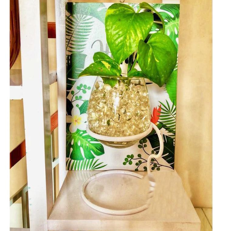 Popul3rS.PAKET VAS AQUARIUM MINI HIASAN MEJA KAMAR DEKORASI RUMAH TANAMAN CUPANG STANDING TERRARIUM 
