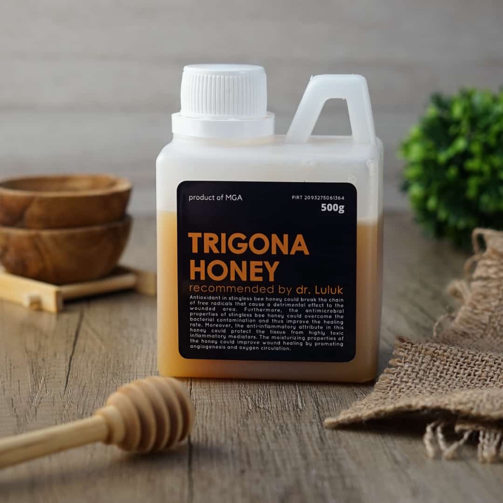 

[BPOM] Madu Asli 100% Madu Klanceng Trigona/ Madu Murni