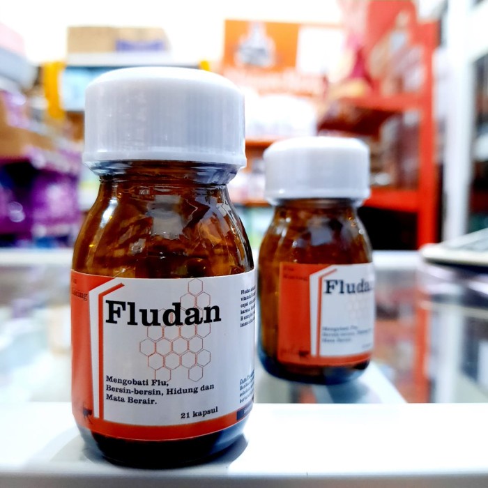 TERBARU Obat Flu dan pilek kucing Fludan
