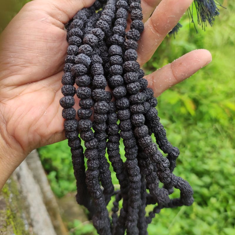 tasbih jenitri rudraksha hitam 99