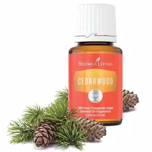 Young Living | Cedar Wood Essential Oil | 15ML