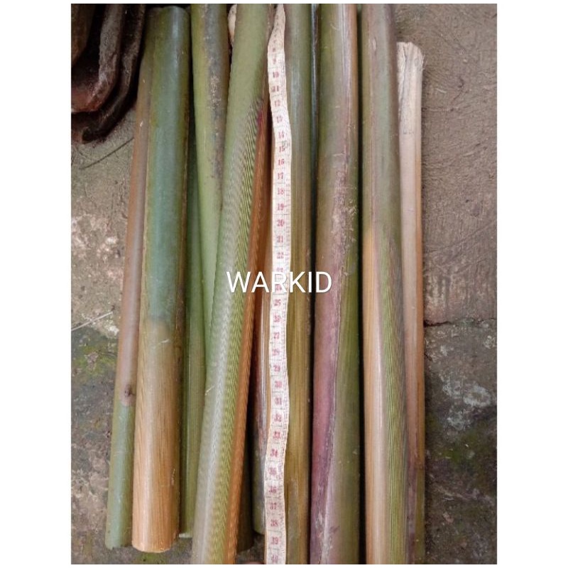 

BATANG POHON COMBRANG /BATANG HONJÉ 1kg UKURAN 40cm