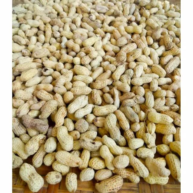 

KACANG KULIT KACANG OVEN 500GRAM DAN 250 GRAM