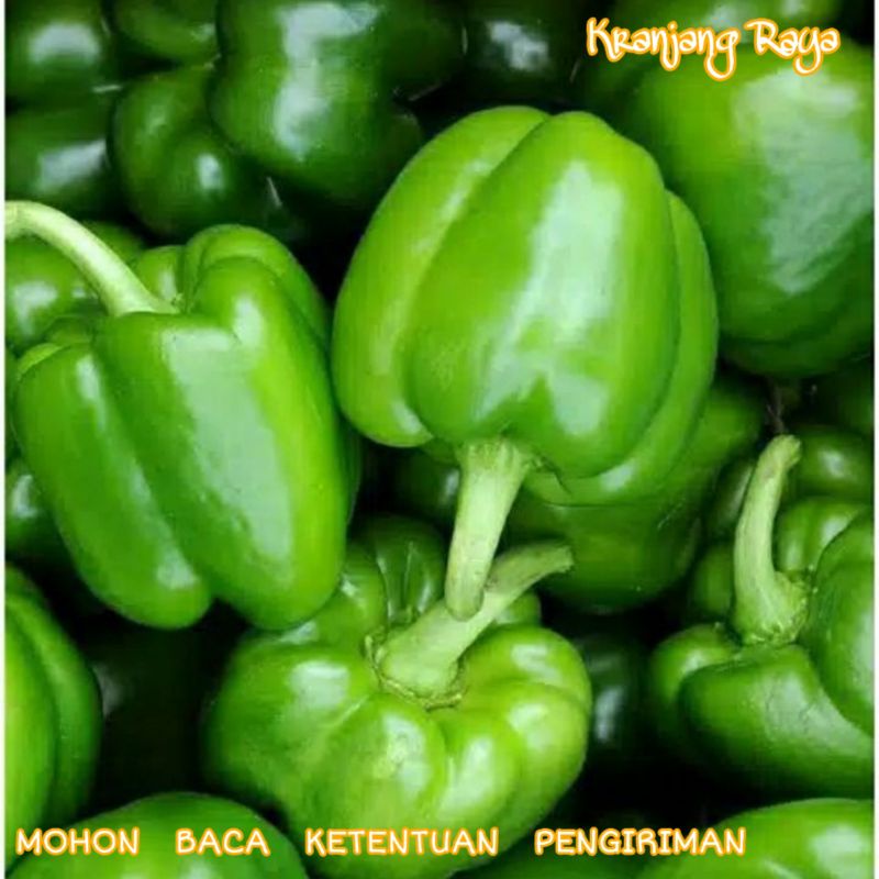 Paprika Hijau