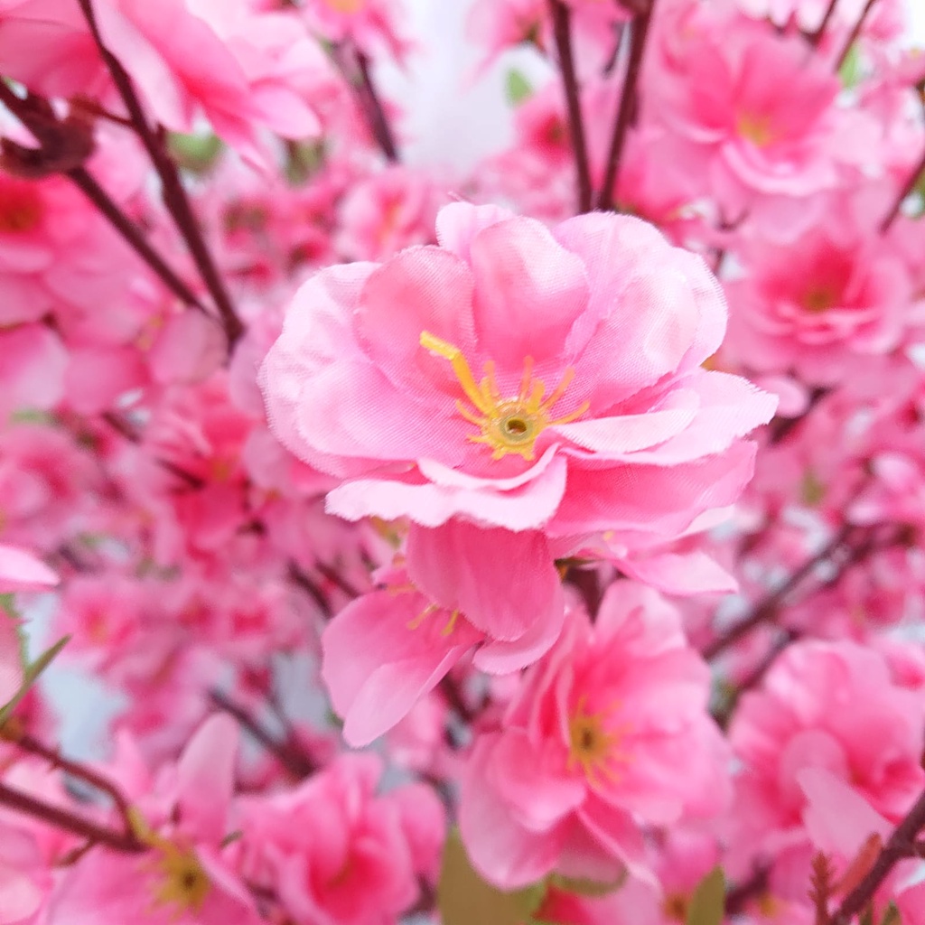 Pohon Sakura Hias Tinggi Imitasi Artificial Import Tanaman Hias Plastik Ornamen Pajangan Dekorasi Rumah Tanaman Hias Sakura 1 meter cantik Tanaman Hias Sakura Azgalery PBP80