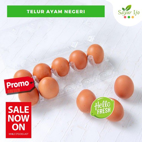 

Telor Ayam Negeri Fresh Grade A Isi 10 Pcs Per Pack Telur Negri Curah - Sayur Ijo Segar Murah