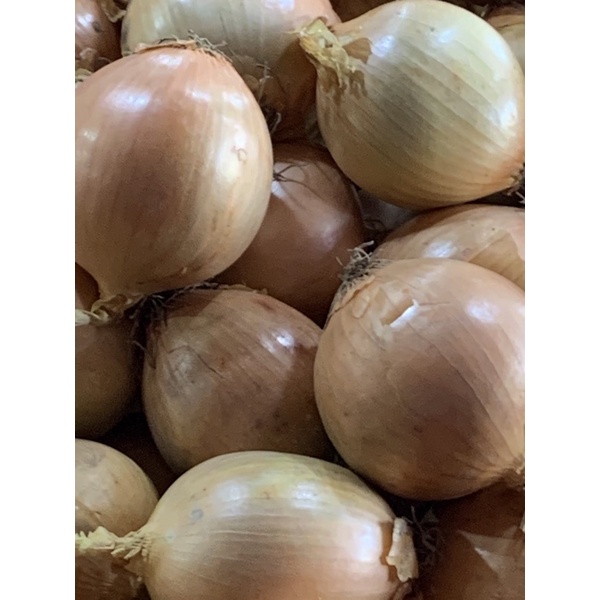 

bawang bombay