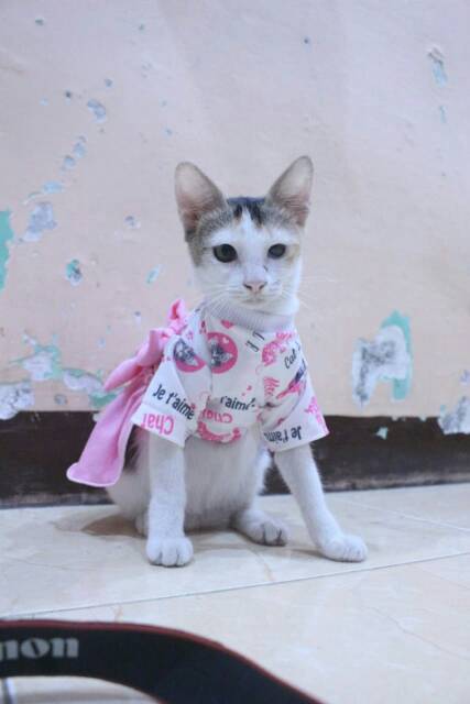 Dress bahan kaos kitty pink lucu untuk kucing dan anjing / baju kucing tangerang murah size S M L XL