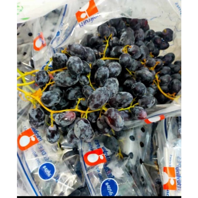 

Anggur Black Seedless Australia