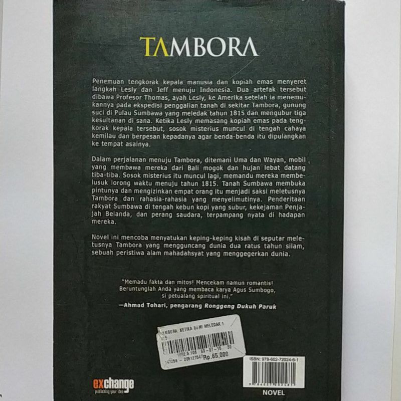 Novel Fiksi Sejarah 