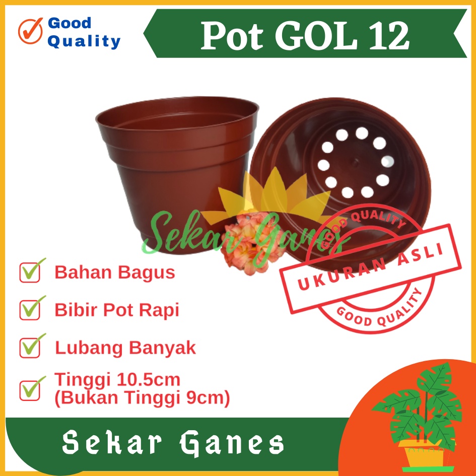 Pot 12 Cm Merah BataTerracota Terracotta Merah Coklat Polos - Pot 12 Hitam Kecil Mini Minimalis Plastik Kaktus Sukulen Mini Murah Pot Bibit Pembibitan