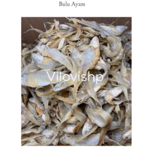 

Ikan asin bulu ayam 250gr