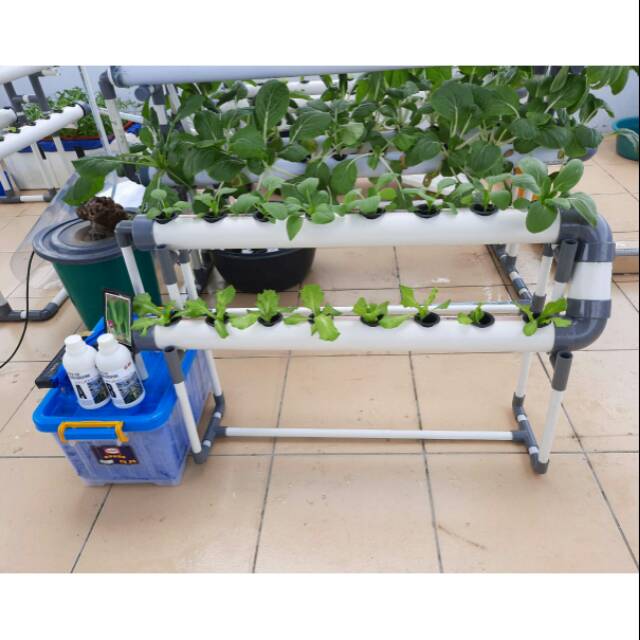 HIDROPONIK SET UNTUK PEMULA