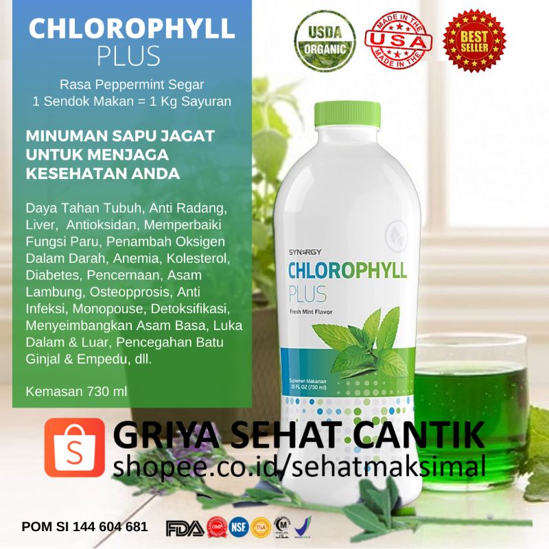 Klorofil USA Pembersih Sel Tubuh, Memperbaiki Pencernaan, Maag, Asam Lambung