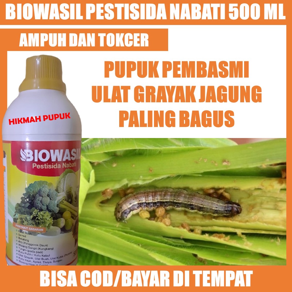 {ASLI MURAH} BIOWASIL Isi 500 ML PESTISIDA HAMA ULAT GRAYAK JAGUNG, KUBIS, LABU SIAM, JAMBU AIR Obat