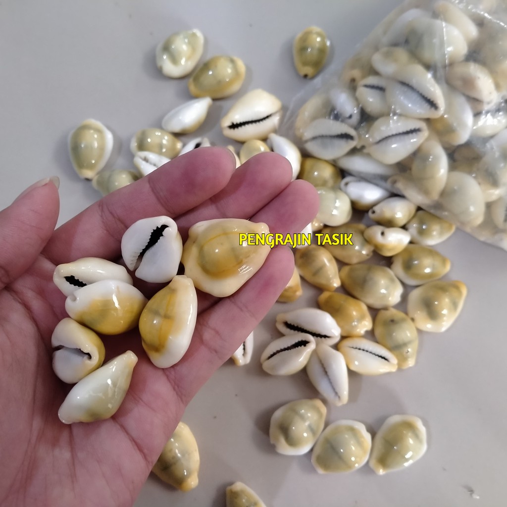 Biji Kerang Besar Asli 100pcs Biji Kuwuk Bekel Biji Congklak Kerang Kuwuk Congklak Kerang Asli