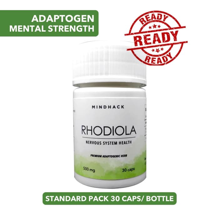 Rhodiola Rosea Salidroside Suplemen Nootropics Mood Energi