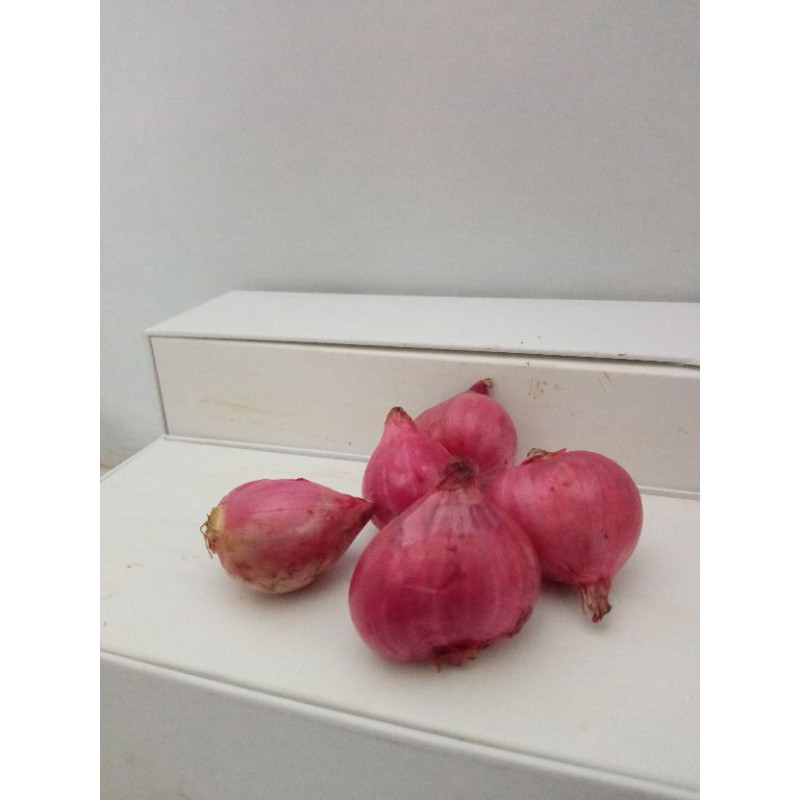 

BAWANG MERAH/TIMUR, probolinggo