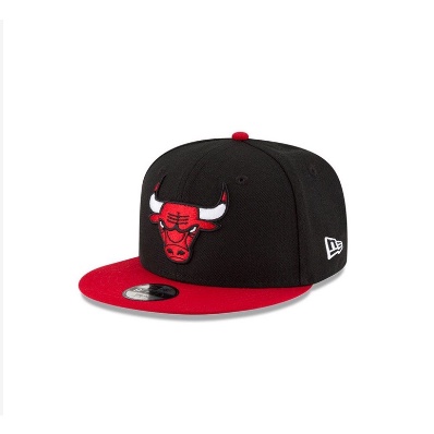 Topi Snapback bordir banteng chichago bulls unisex topi pria