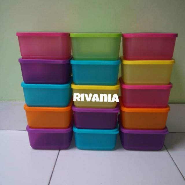 Small Summer Fresh Bekal Tupperware (1)