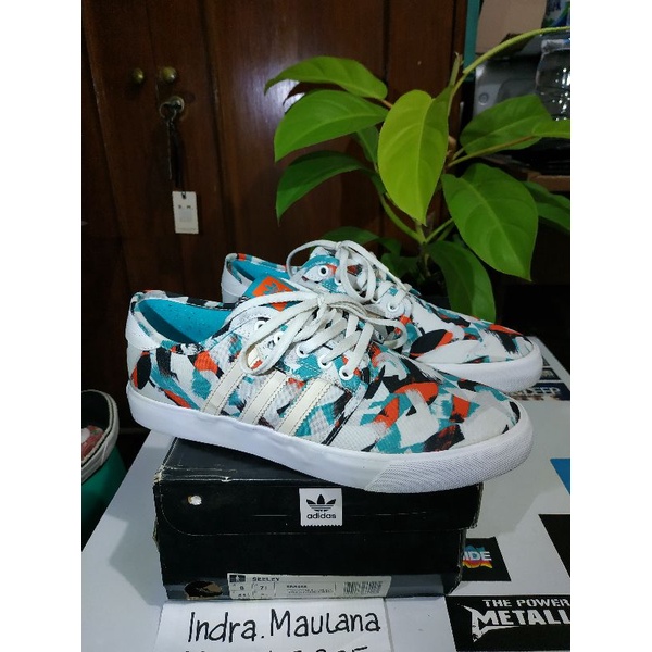 Adidas Seeley Skateboarding