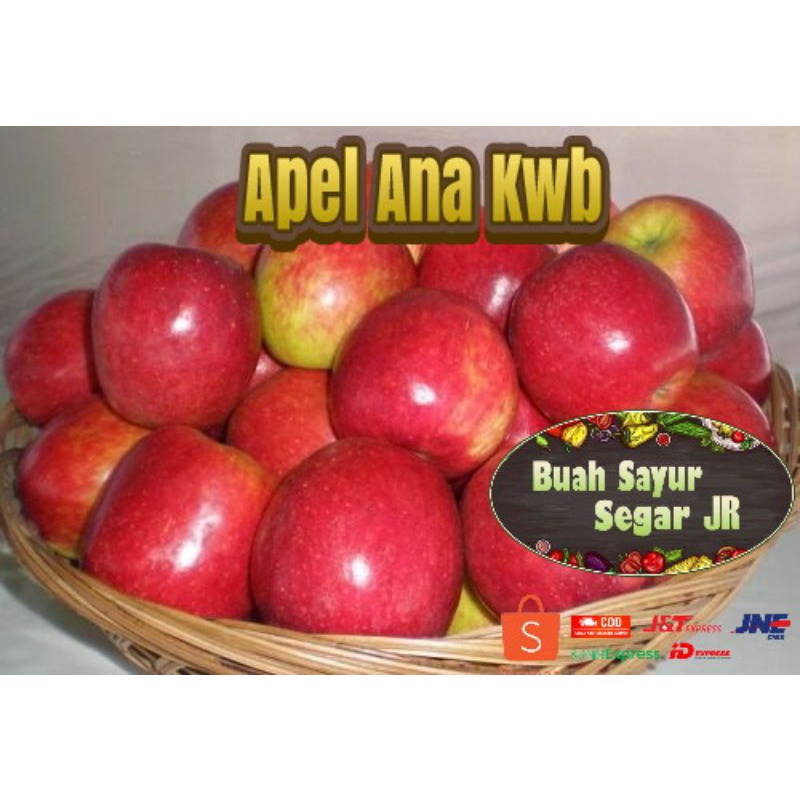 

APEL ANA KWB Kota Wisata Batu 1kg TERMURAH /APEL ANNA / APEL SEGAR / APEL MERAH