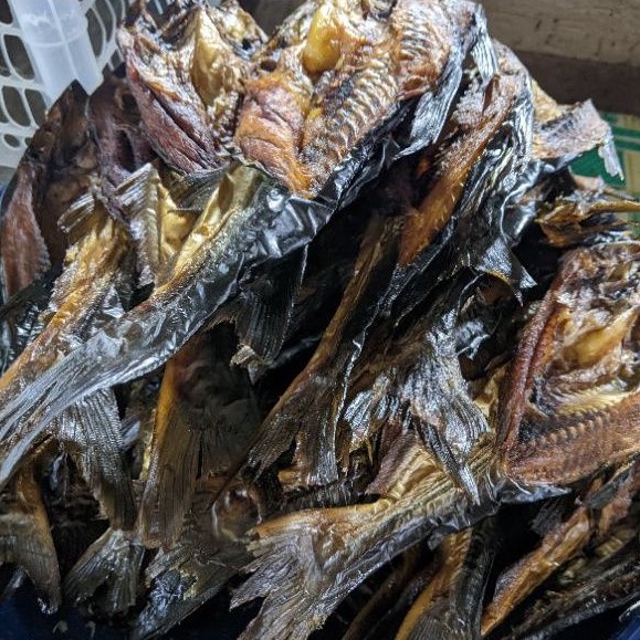 

IKAN PATIN SALAI ORIGIGILAN | IKAN ASAP | IKAN PATIN 100 Gg