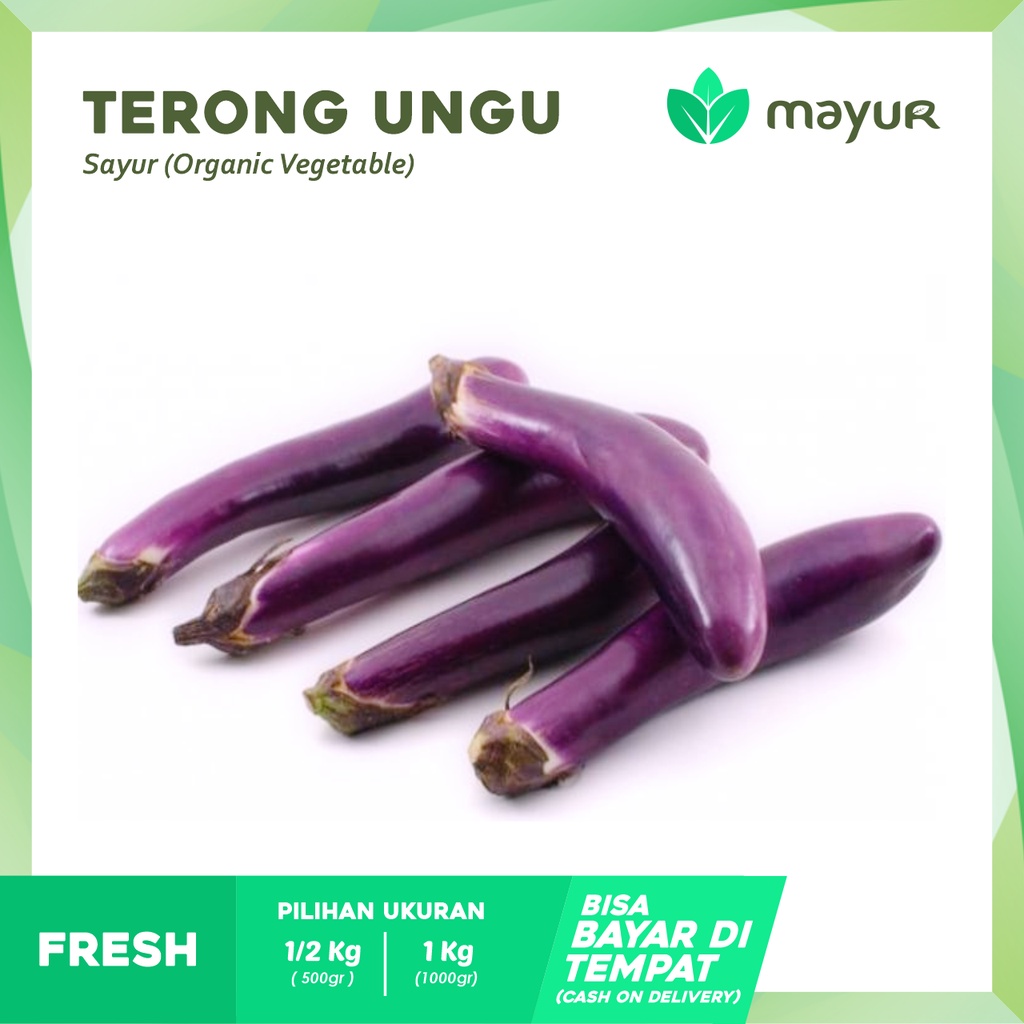 

Terong Ungu Segar ( 250gr | 500gr | 1kg )