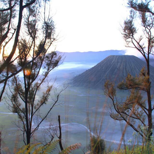 rendraganden08