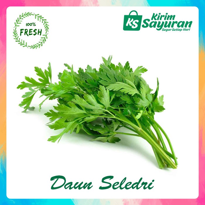 

Seledri (pack)