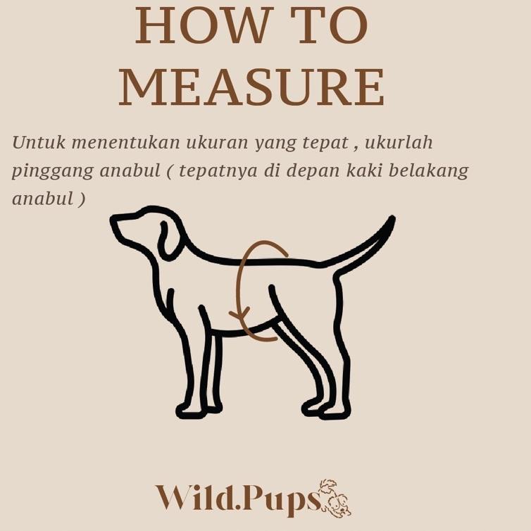 SALEE.. Manner belt / Manner pad / Popok anjing jantan