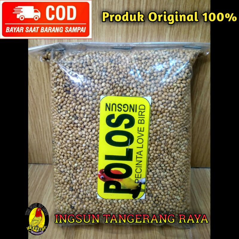 INGSUN POLOS, PAKAN LOVEBIRD BETINA SF