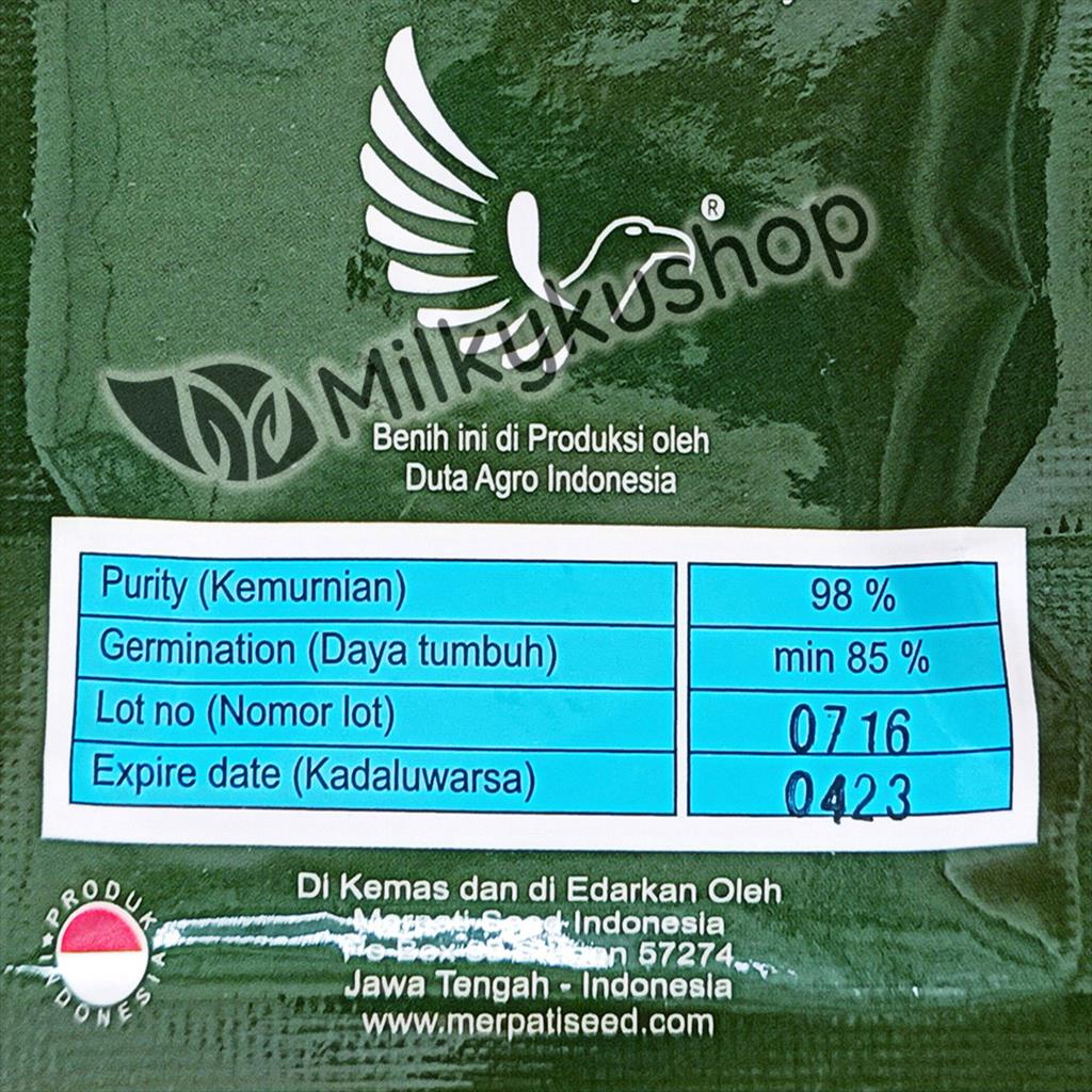 BENIH MERPATI SEED POPPULAR F1 JAGUNG MANIS 30 BIJI KEMASAN PABRIK