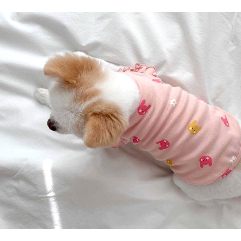 Pink &amp; White Bunny Dog Cat Shirt Baju Anjing Kucing Lucu