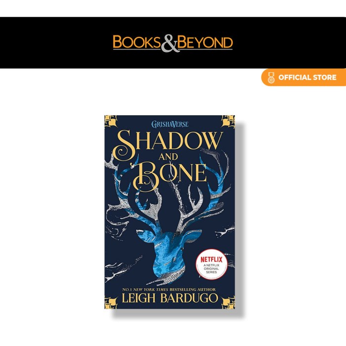 Shadow And Bone 9781510105249