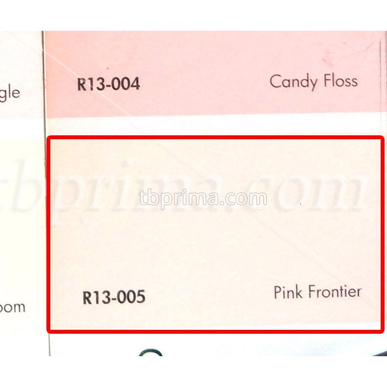 No Drop Tinting R13-005 Pink Frontier 4 kg