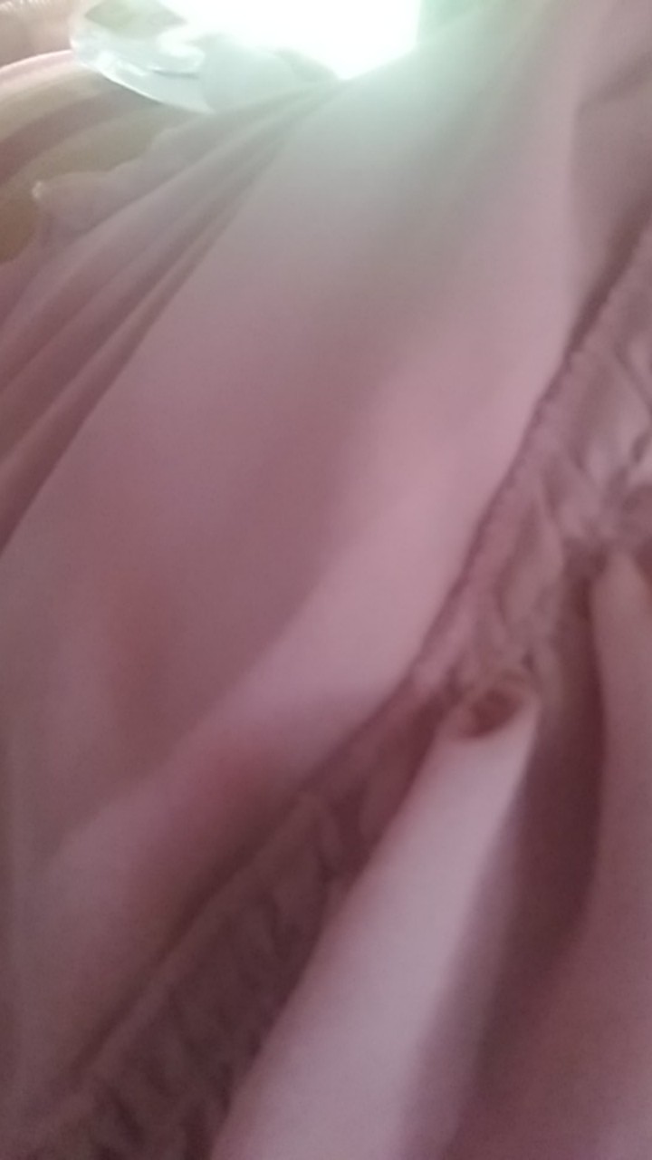 Benih Bibit Biji Strawberry Giant Raksasa Stroberi Strawberi