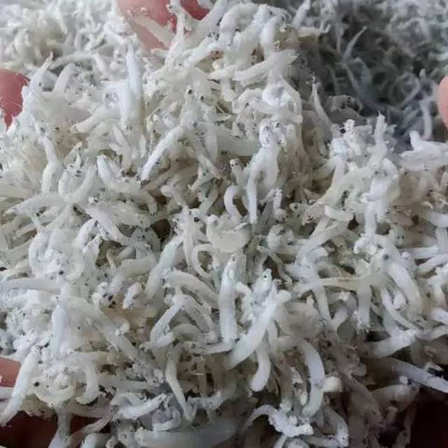 

Teri naSi medan sedang premium termurah 250 gram