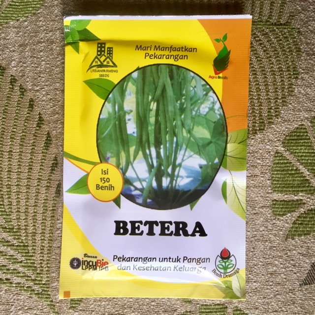 Benih Bibit Buncis Tegak Tanpa Rambatan atau Ajir BETERA