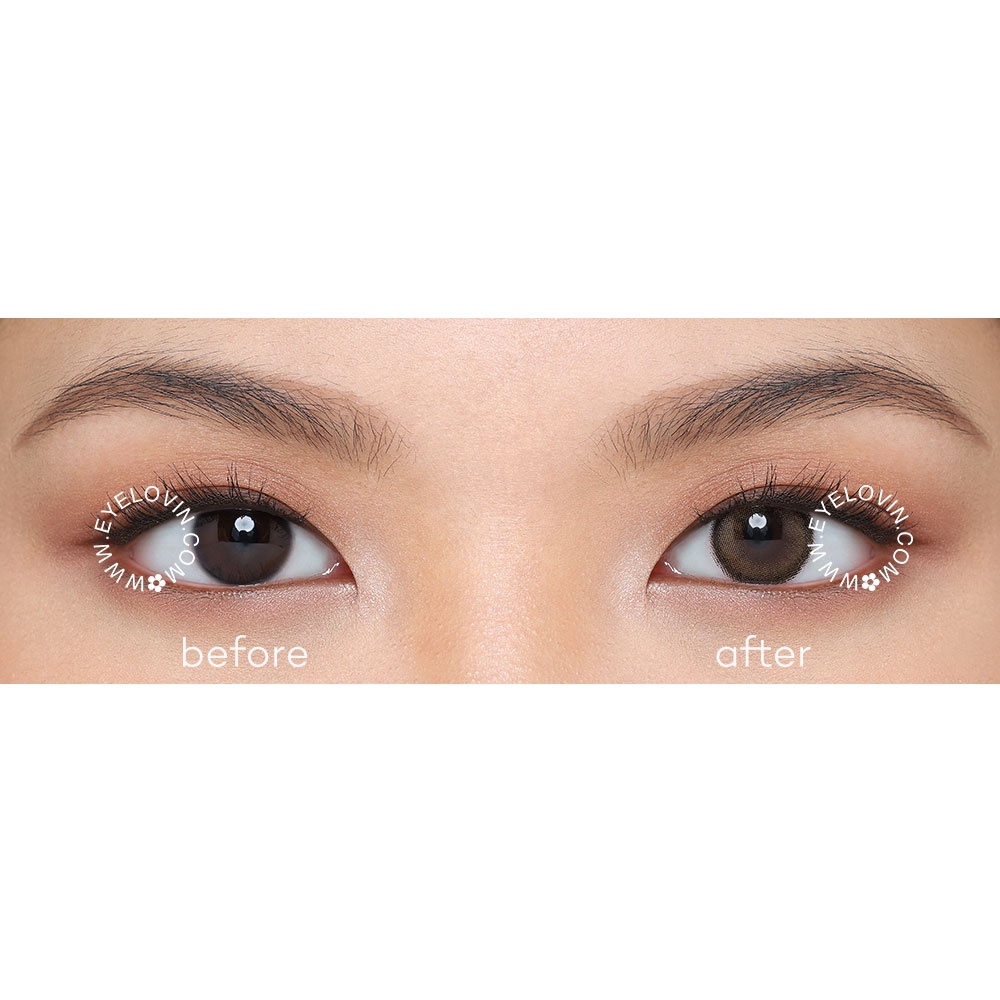 Eyelovin Softlens OHAN - Hana Brown