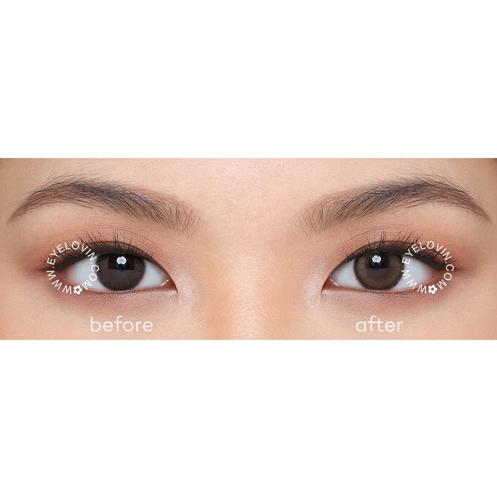 Eyelovin Softlens OHAN - Hana Brown