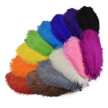 Colorful Ostrich Feather Artificial 30-35cm (1pc)