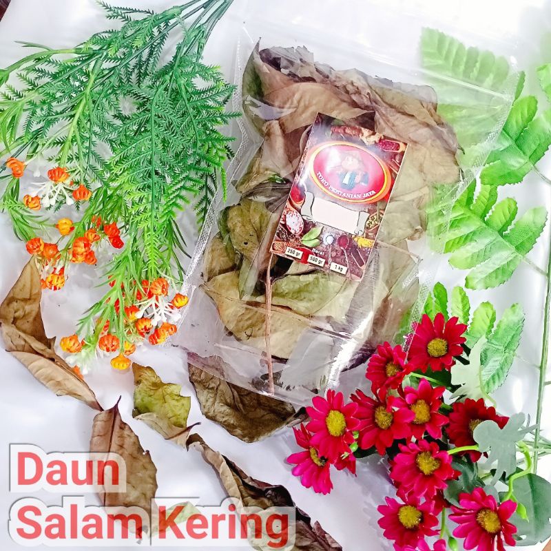 

DAUN SALAM KERING ASLI SUPER ORGANIK TERMURAH